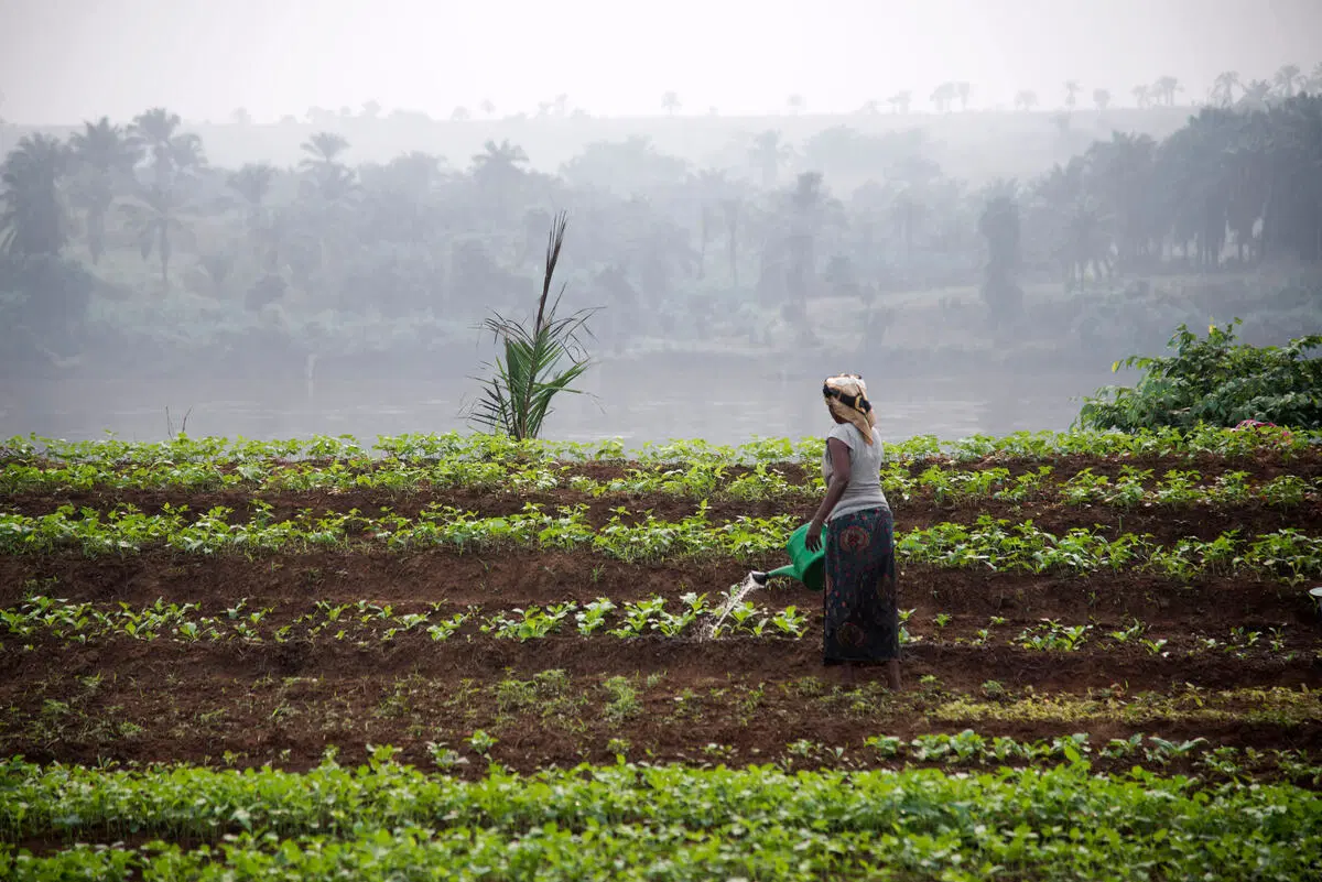 Top 10 African countries leading in food security