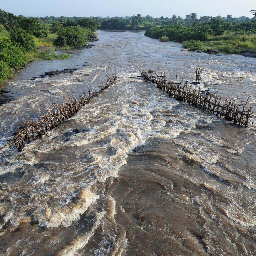 Five longest rivers in Africa